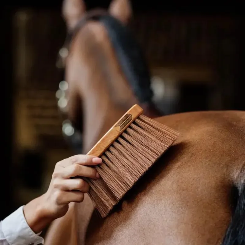 Kentucky Grooming Deluxe Middle Brush Medium