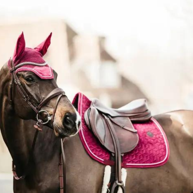 Kentucky Jumping Velvet Saddle Pad Fuchsia-3