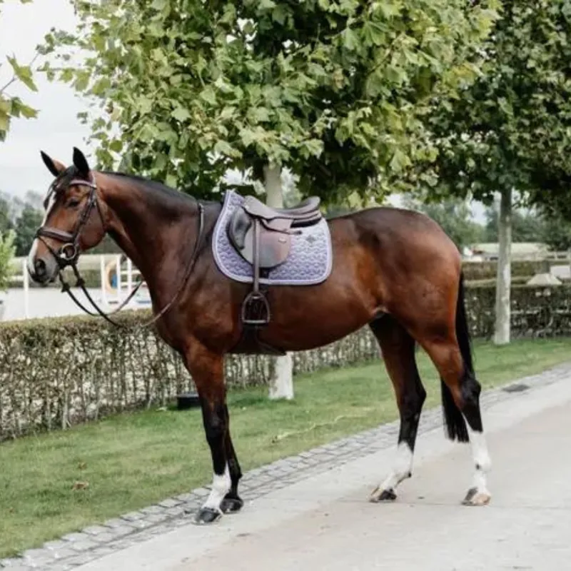 Kentucky Jumping Velvet Saddle Pad Purple-3