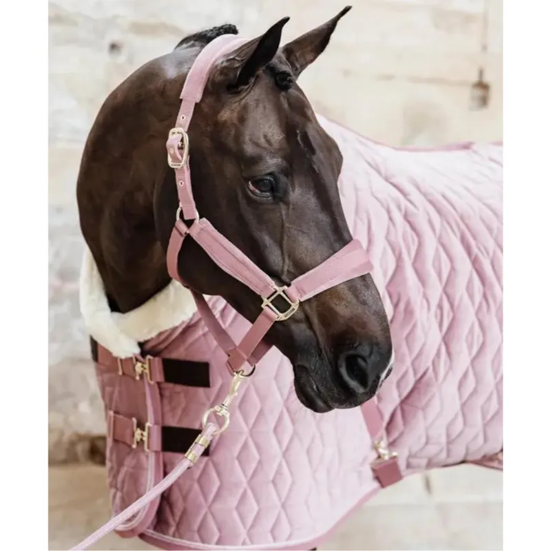 Kentucky Lead Rope 2m Old Rose