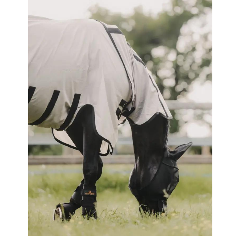 Kentucky Mesh Fly Rug-1