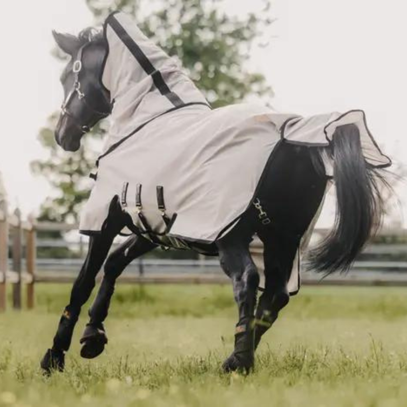 Kentucky Mesh Fly Rug-3