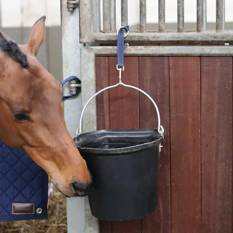 Kentucky Nylon Clip and Ring Strap Navy