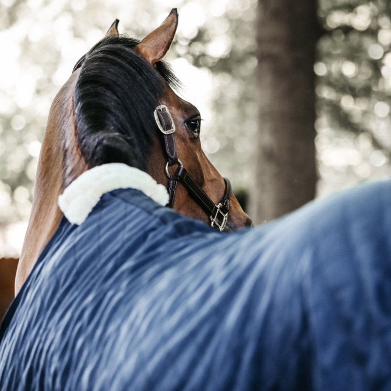 Kentucky Stable Rug 200g Navy-1