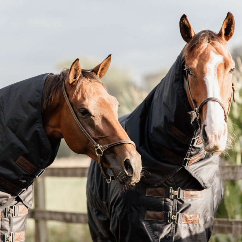 Kentucky Turnout Rug All Weather Waterproof Classic 150g Navy-2
