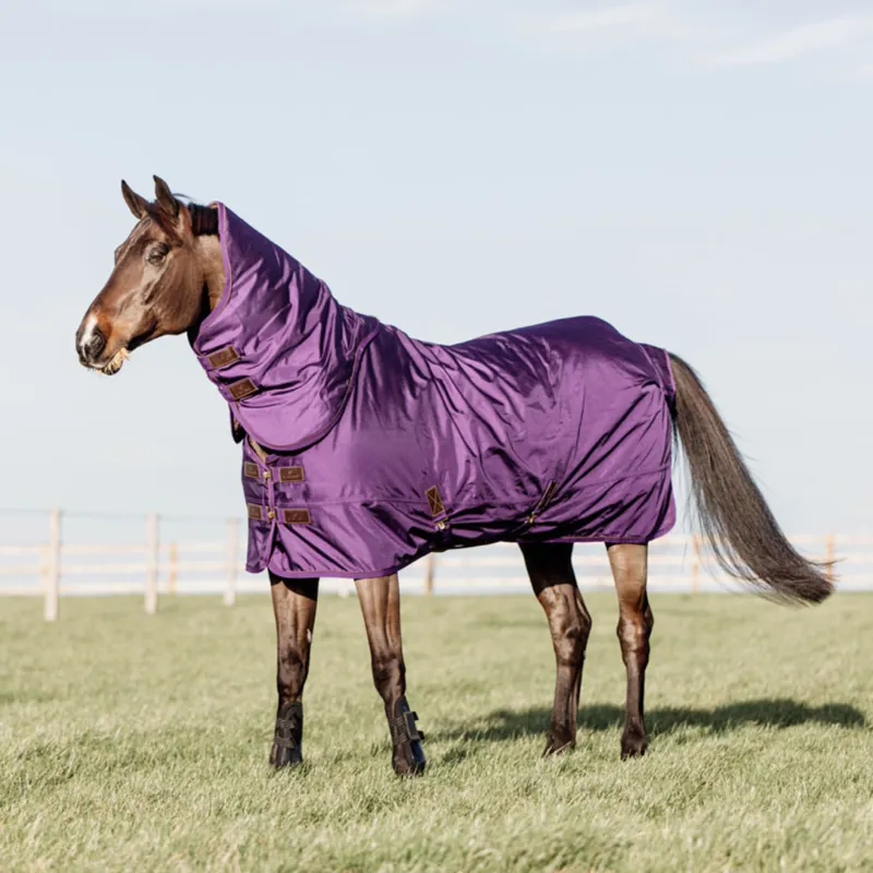 Kentucky Turnout Rug All Weather Pro 160g Purple