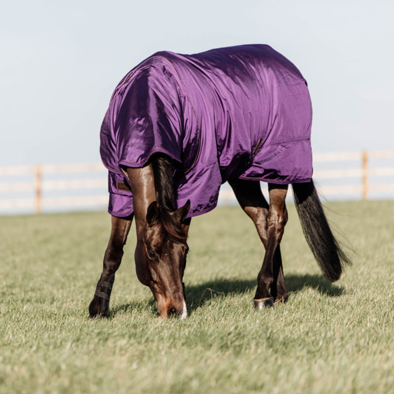 Kentucky Turnout Rug All Weather Pro 160g Purple-1