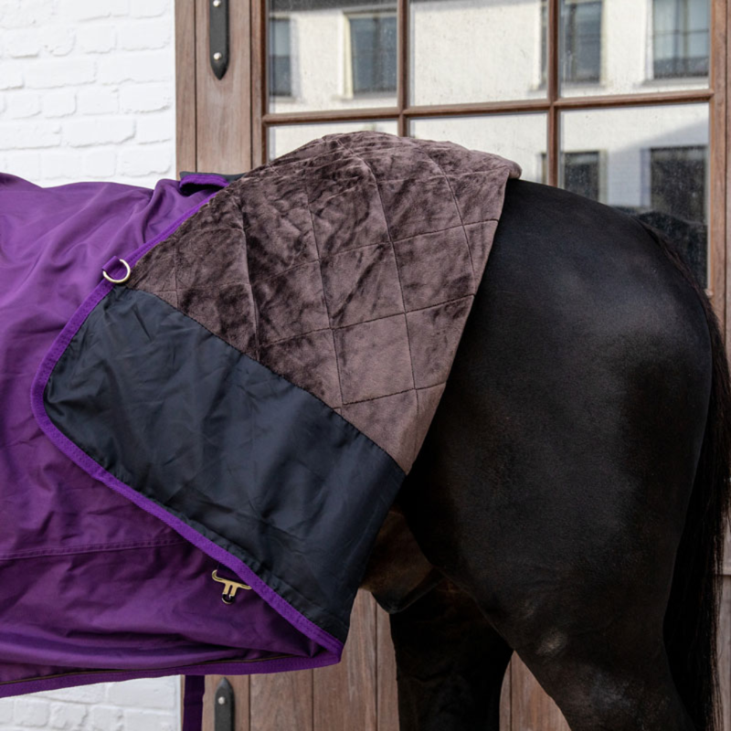 Kentucky Turnout Rug All Weather Pro 160g Purple-2