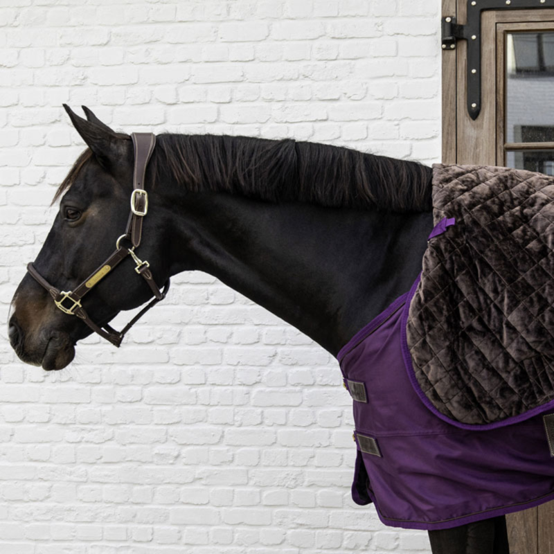 Kentucky Turnout Rug All Weather Pro 160g Purple-3
