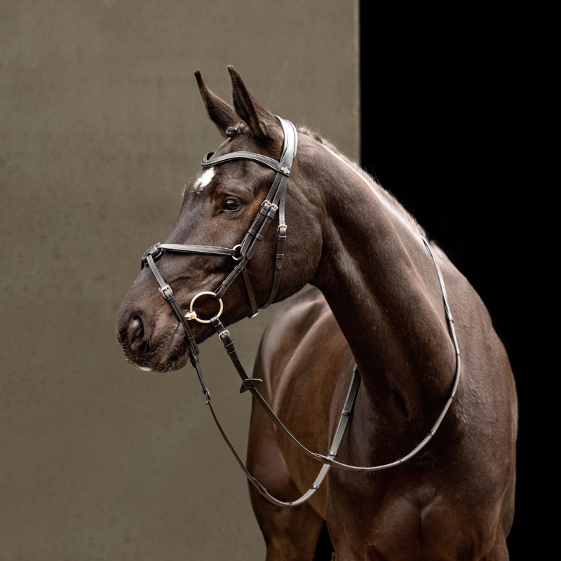 LeMieux Arika Grackle Bridle Black-1