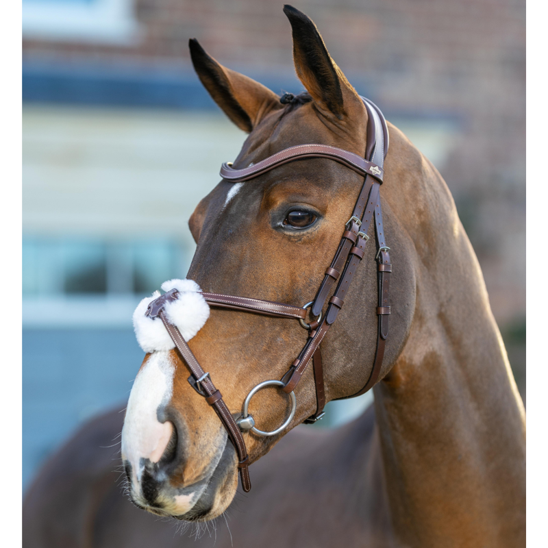 LeMieux Arika Grackle Bridle Havana-1