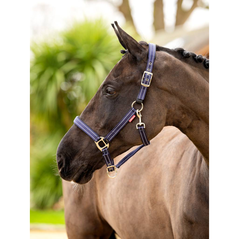 LeMieux Essential Yard Headcollar Navy-1