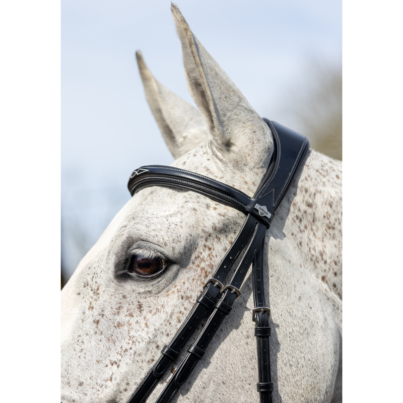 LeMieux Kudos Competition Flash Bridle Black-3
