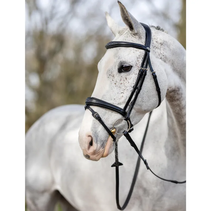 LeMieux Kudos Competition Flash Bridle Black-2
