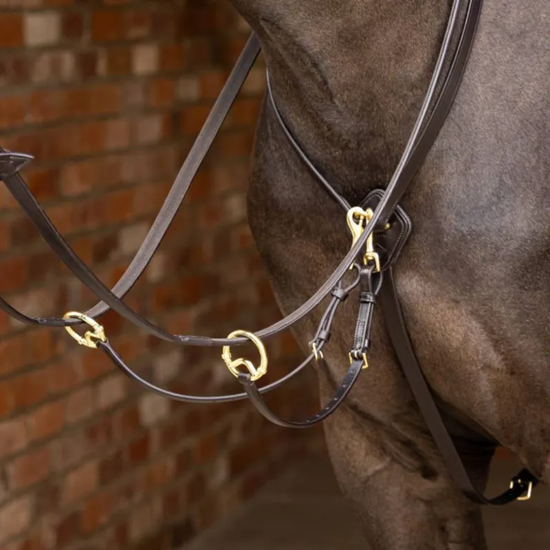 LeMieux Kudos Running Martingale Brown/Brass-1