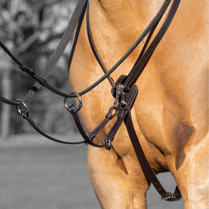 LeMieux Kudos Running Martingale Brown/Silver-1
