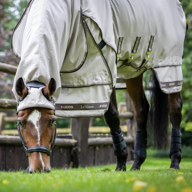 LeMieux Kudos Sweet Itch Rug Stone