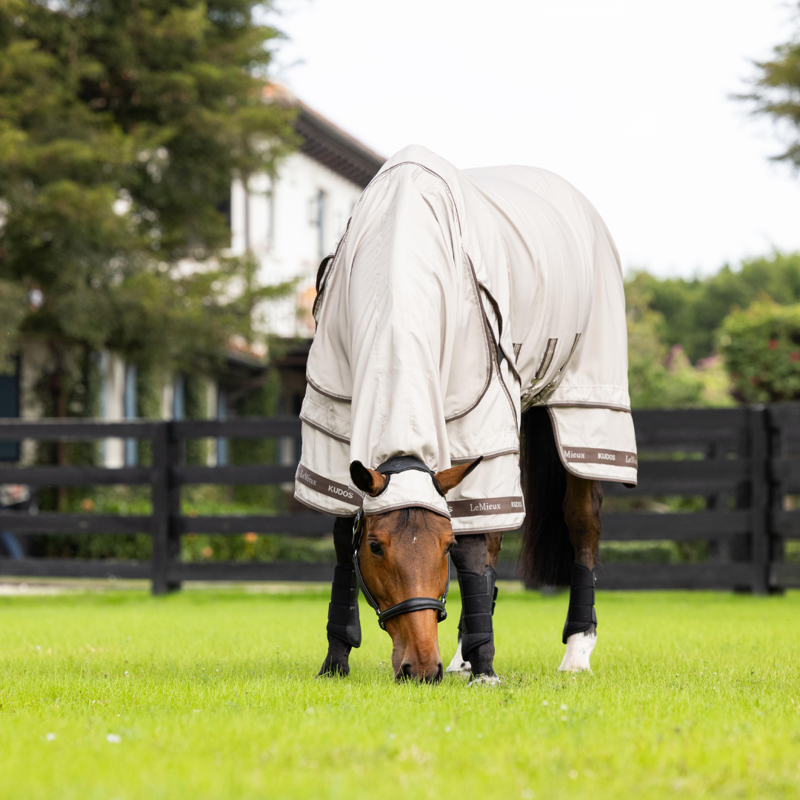 LeMieux Kudos Sweet Itch Rug Stone-1