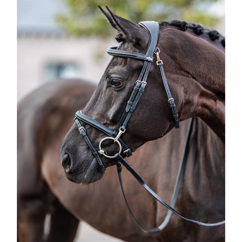 LeMieux Kudos Work Bridle Black-1