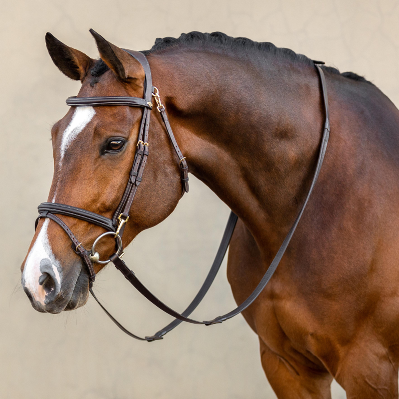 LeMieux Work Bridle Brown-1