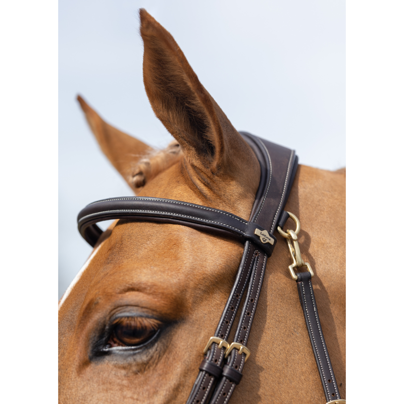 LeMieux Work Bridle Brown-2