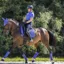 LeMieux Loire Classic Dressage Square Bluebell