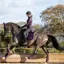 LeMieux Loire Classic Dressage Square Fig