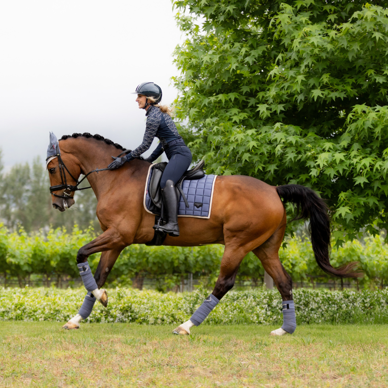 LeMieux Loire Classic Dressage Square Jay Blue-1
