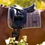 LeMieux Loire Classic Dressage Square Walnut