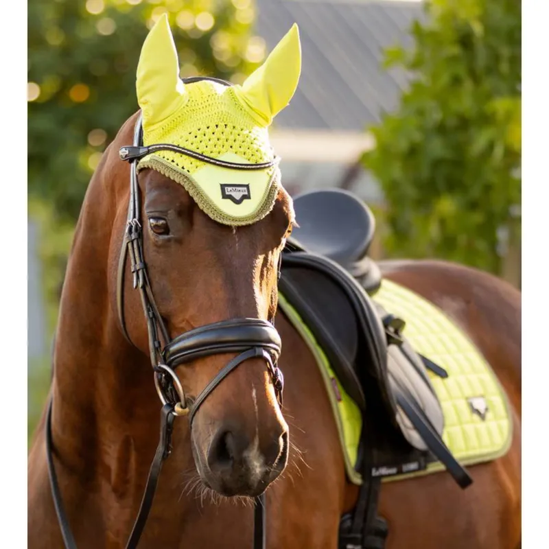 LeMieux Loire Fly Hood  Kiwi