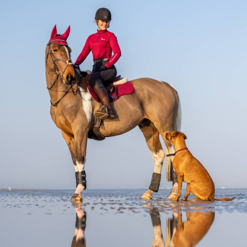 LeMieux Suede GP Square Mulberry-1