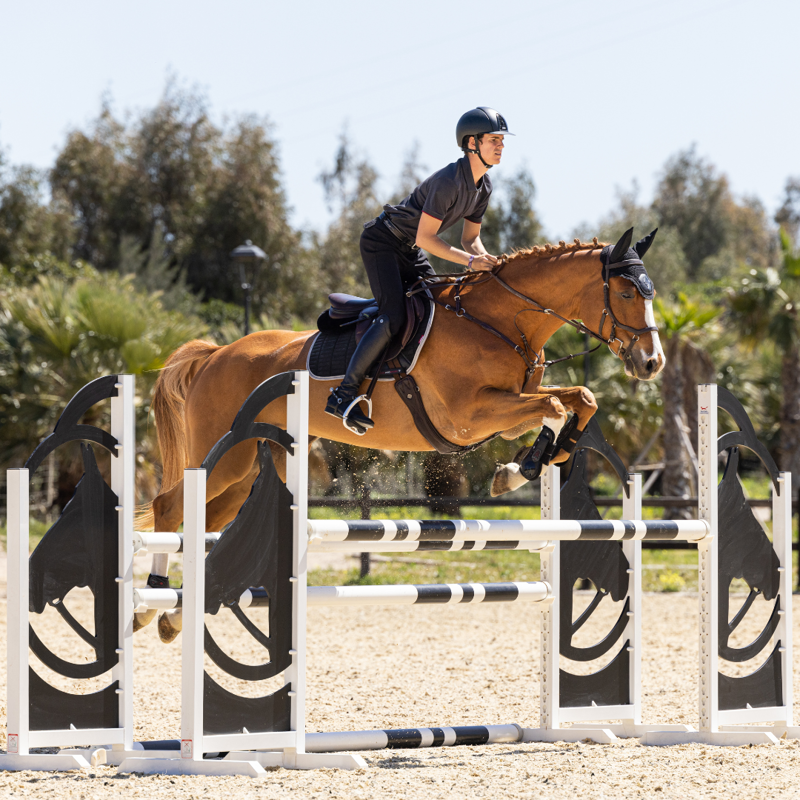 LeMieux SuedeEuroJump Square Black -2