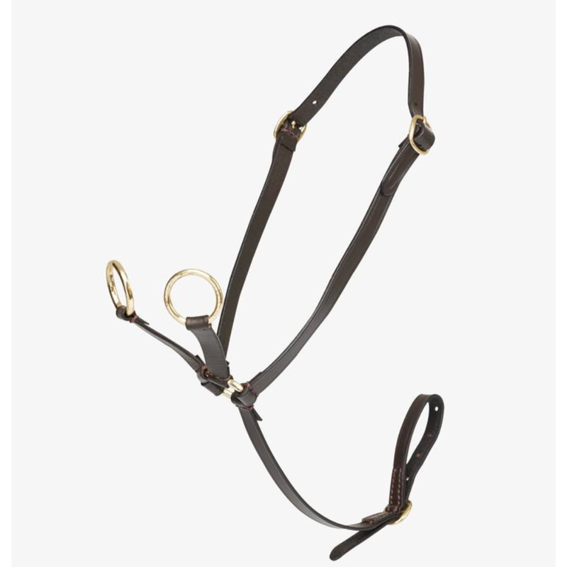 LeMieux Toy Pony Martingale Brown