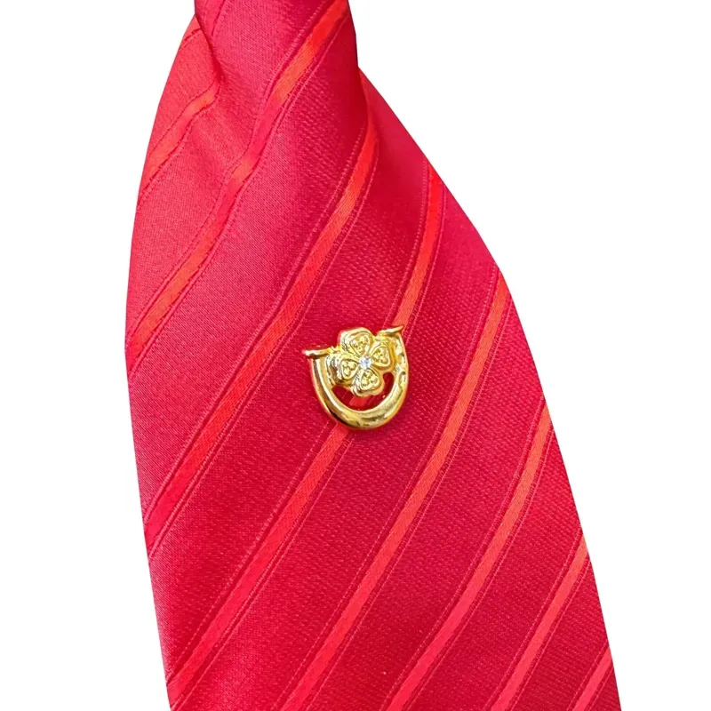 Equetech Lucky Horseshoe Tie Pin in Gold-1