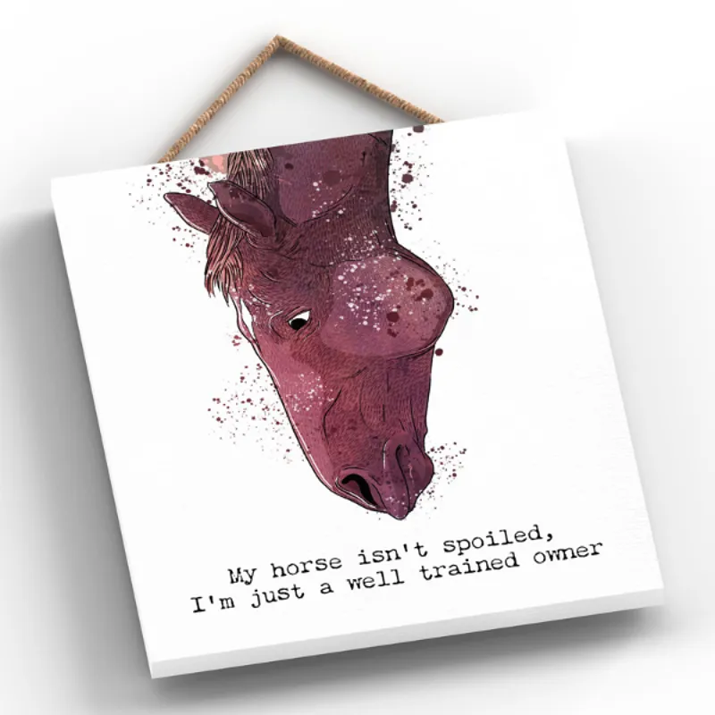 Medium Off Square Plaque - Well Trained Owner