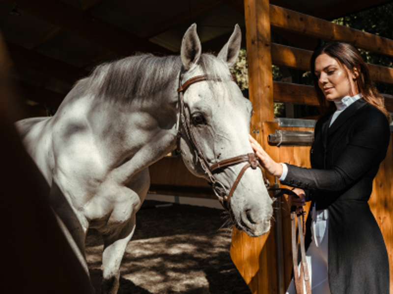 Samshield Spring Summer 2026