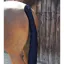 Premier Equine Padded Horse Tail Guard with Tail Bag Navy