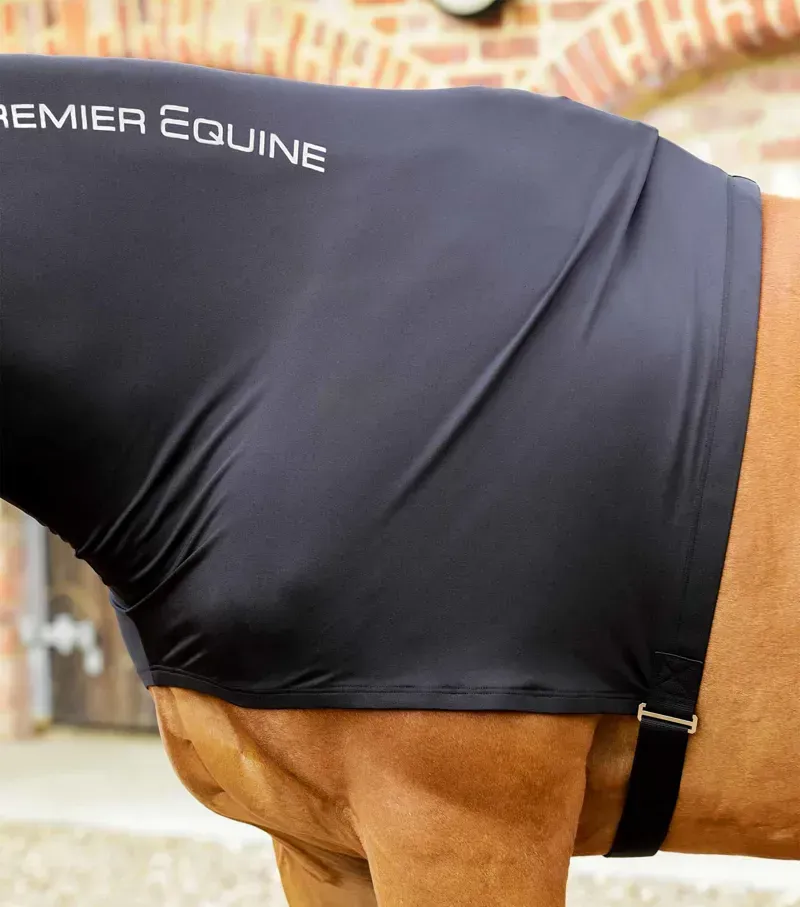Premier Equine Stretch Lycra Hood in Black-2