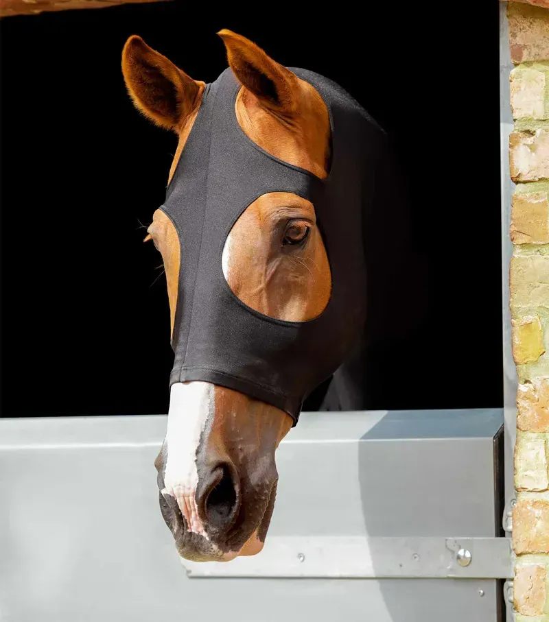 Premier Equine Stretch Lycra Hood in Black-3