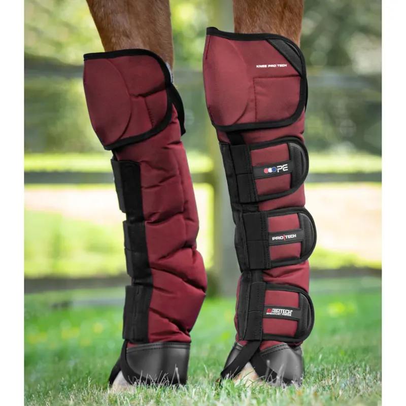 Knee Boots Best Travel Boots For Horses Back On Track Therapeutic