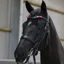 Horse Bridle Warning Ribbons -  Pink/Mare in season x4