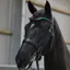 Horse Bridle Warning Ribbons - Green/Young Horse x4