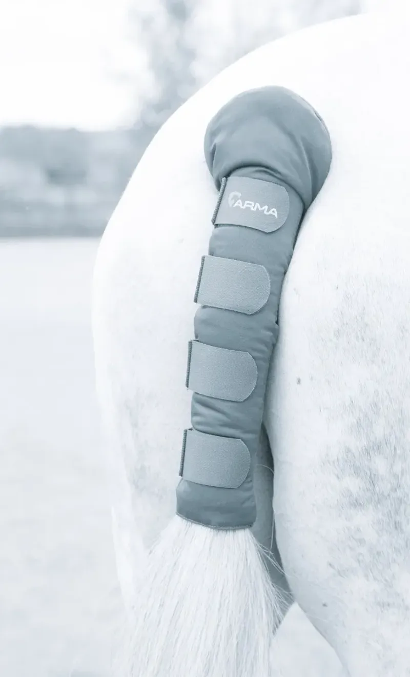 ARMA Padded Tail Guard Grey 