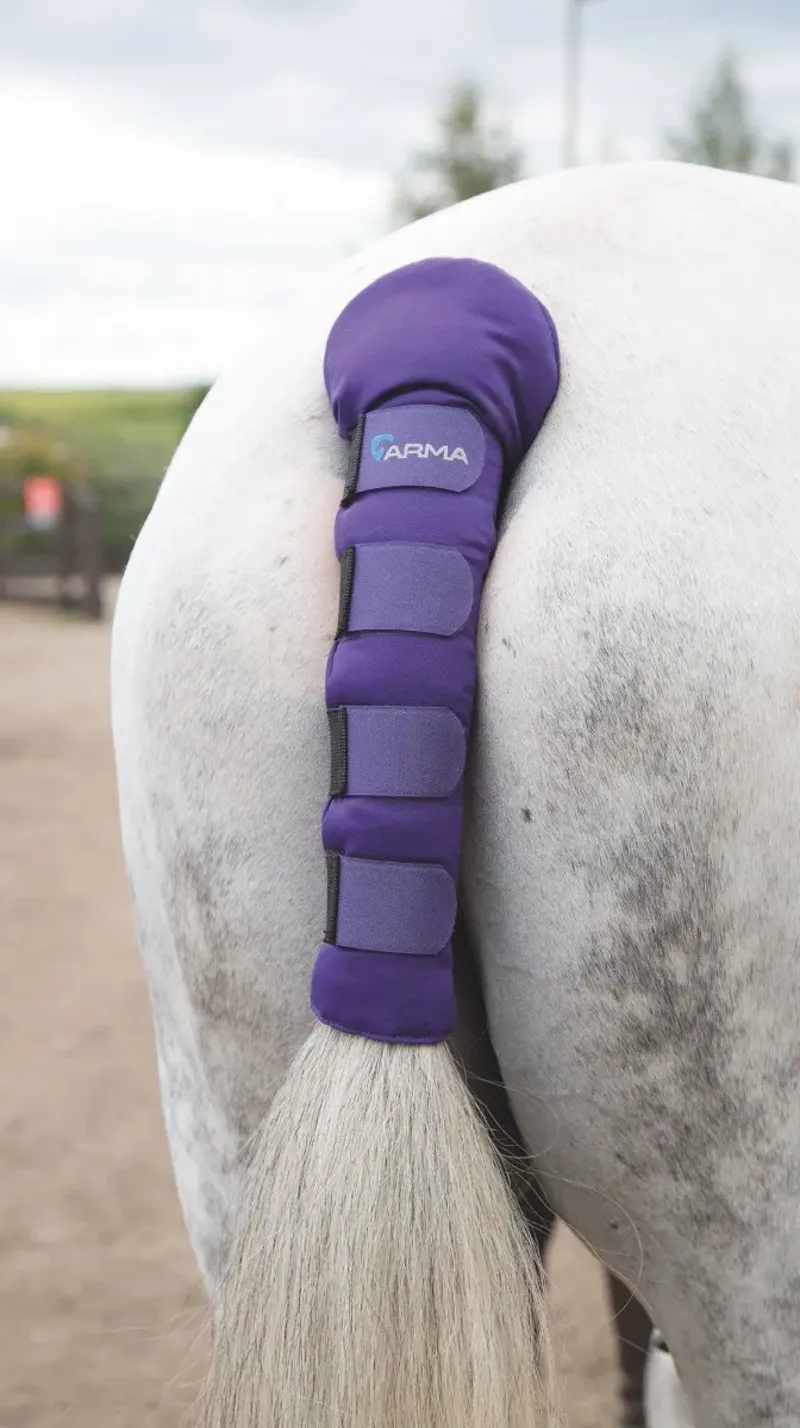 ARMA Padded Tail Guard Purple