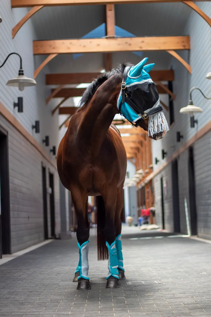 ARMA Fly Boots Teal-1