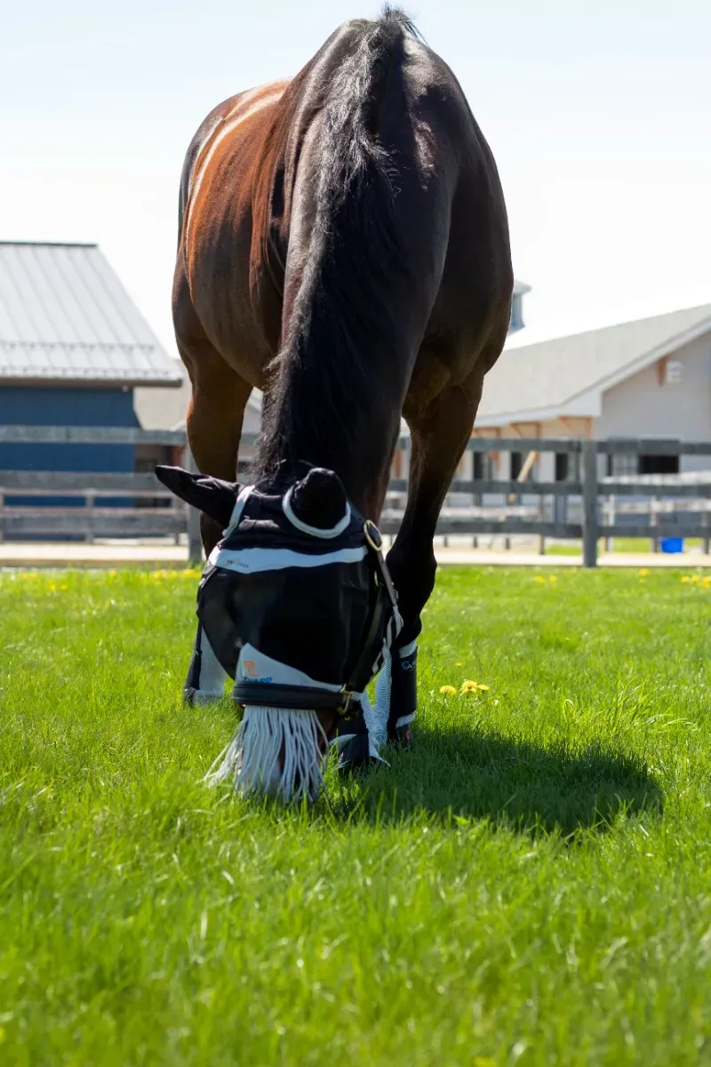 ARMA Fly Boots Black-2