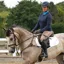 Coldstream Kilham Competition Breeches in Taupe
