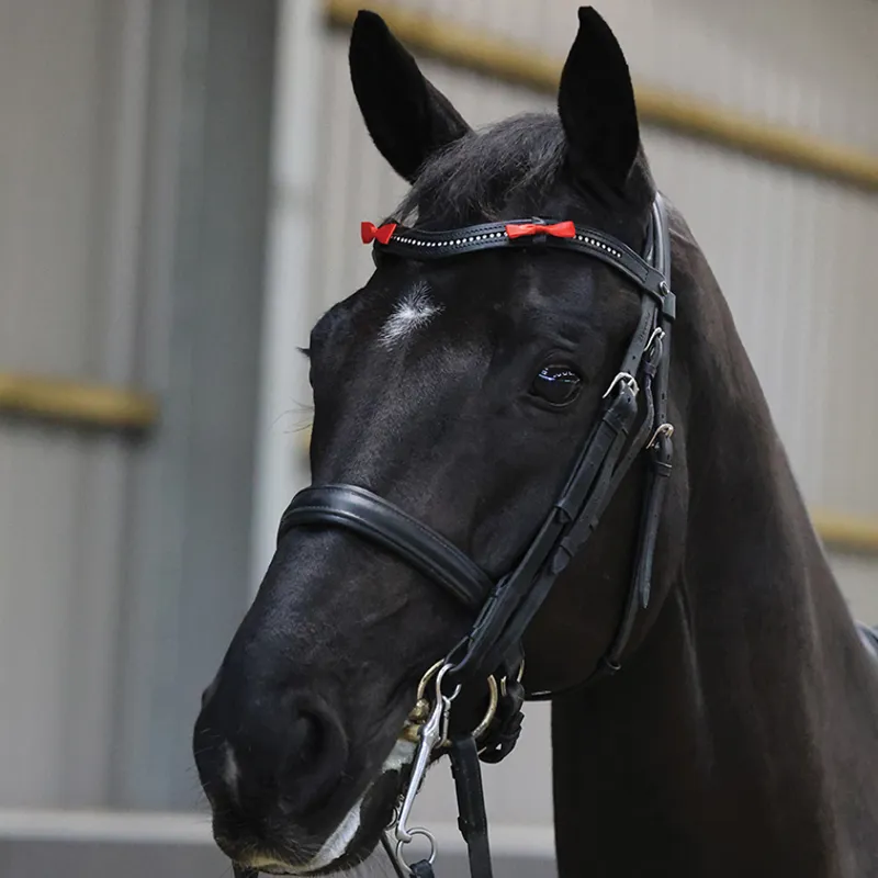 Horse Bridle Warning Ribbons - Red/May kick x4