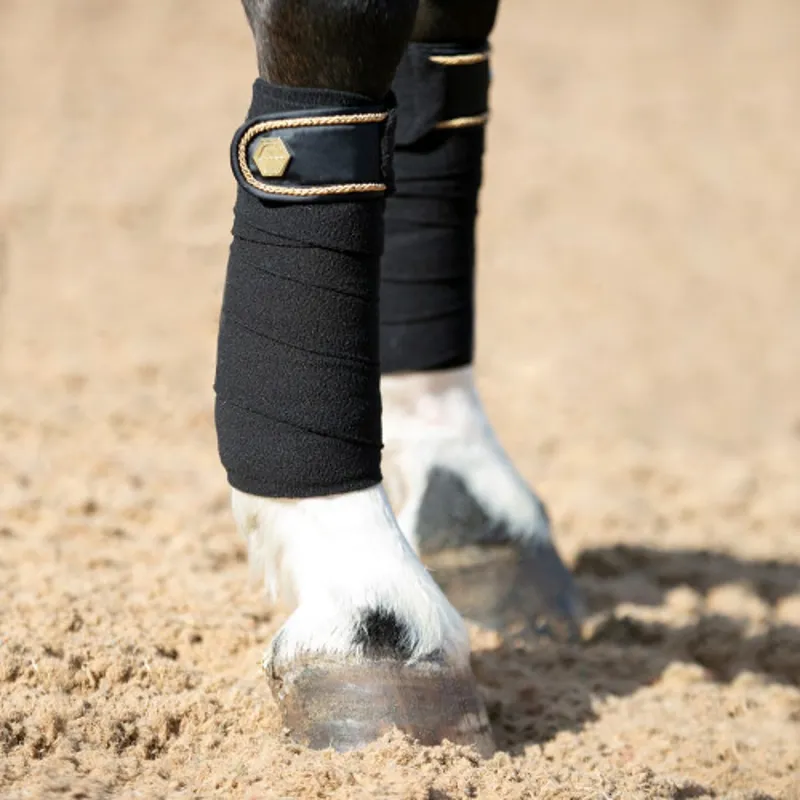 Coldstream Marygold Bandages in Black -1