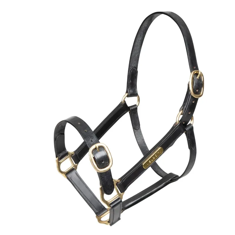 Velociti GARA Fully Adjustable Leather Headcollar Black